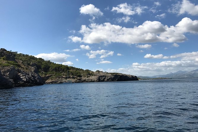 Boat Rental With and Without a License - Activity Details and Accessibility