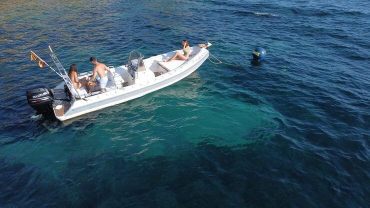 Boat Rental With License - Booking and Cancellation