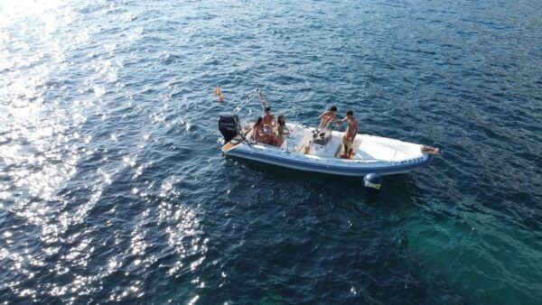 Boat Rental With License - Customer Reviews