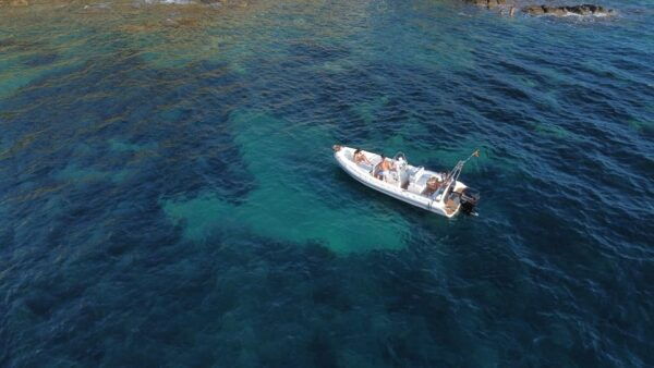 Boat Rental With License - Contact and Reservations