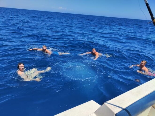 Boat Rental With Skipper and Petrol - Boat and Accessibility