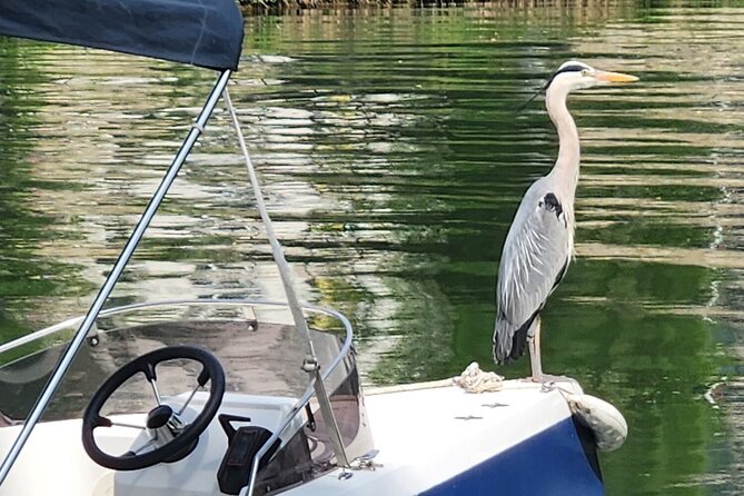 Boat Rental Without a License in Melun - The Sum Up