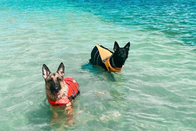 Boat Rentals to Shell Key, Treasure Island and St. Pete Beach - Practical Details and Tips