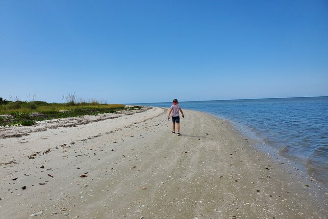 Boat Ride in 10,000 Islands Biologist Led Walk in the Everglades Small Group - Cancellation Policy