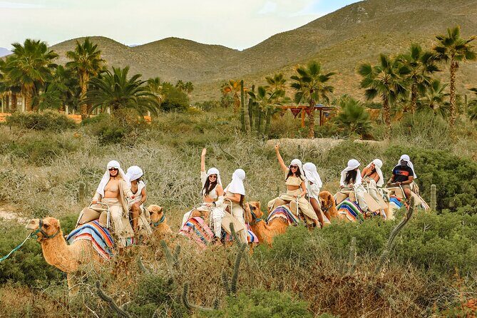 Boat Ride to the Arch and Beach Camel Ride in Cabo San Lucas Shared Tour - Good To Know