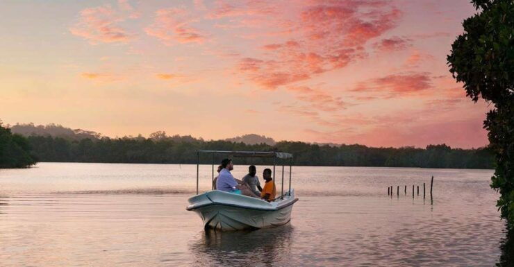 Boat Riding in Negombo - Experience Highlights
