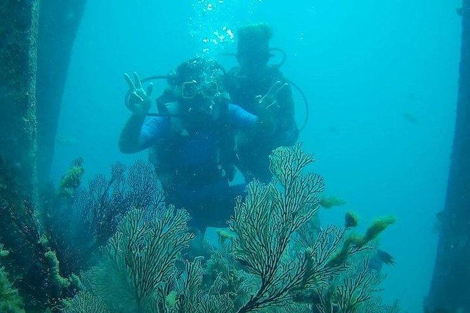 Boat Scuba Diving at Neil Island - Accessibility and Health Guidelines