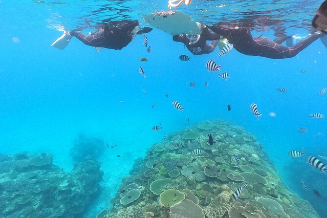 Boat Snorkeling Trip 2 Rounds at Minna Isl or Sesoko , Okinawa - Cancellation Policy