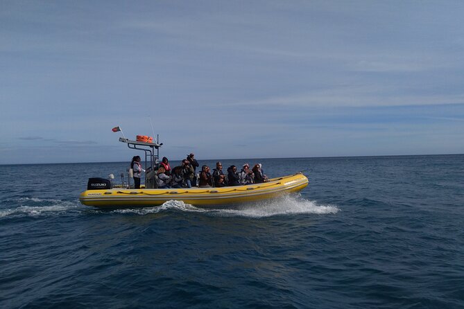 Boat Tour - Arrábida Coves - The Sum Up