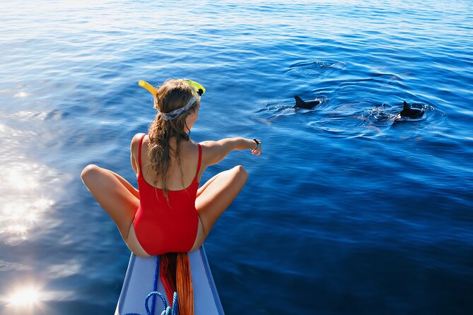 Boat Tour Cinque Terre and Gulf of Poets From La Spezia - Booking and Reservation