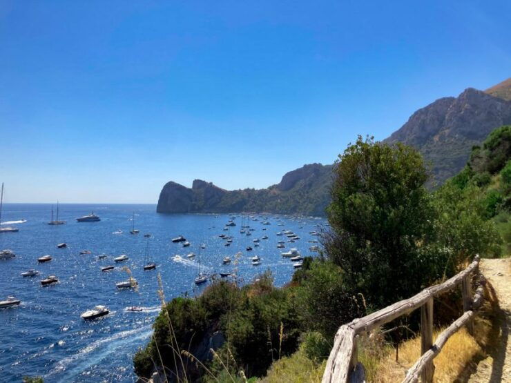 Boat Tour Dinner Experience in Nerano or Amalfi - Experience Details