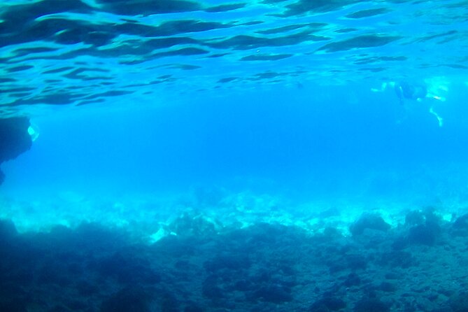 Boat Tour Excursion From Trapani to Favignana and Levanzo 8 Hours - Itinerary Highlights