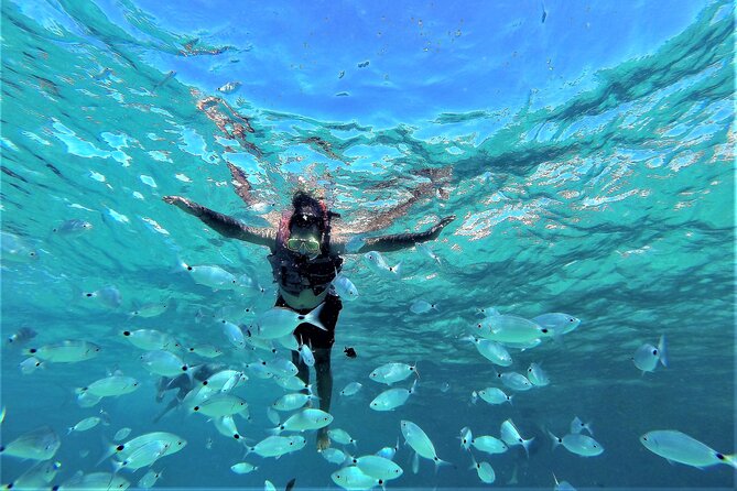 Boat Tour From the Beaches of Ibiza to the Cave of Cala Basa - Traveler Reviews
