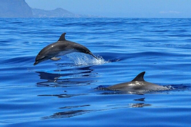 Boat Tour Giardini Naxos Taormina Isola Bella Blue Grotto - Meeting and Pickup Information