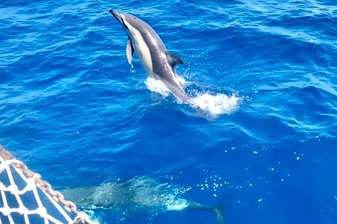 Boat Tour in Mondello Bay in Sicily - Reviews and Photos