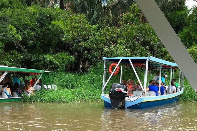 Boat Tour in Palo Verde River | Near Nicoya - Insider Tips for a Memorable Experience