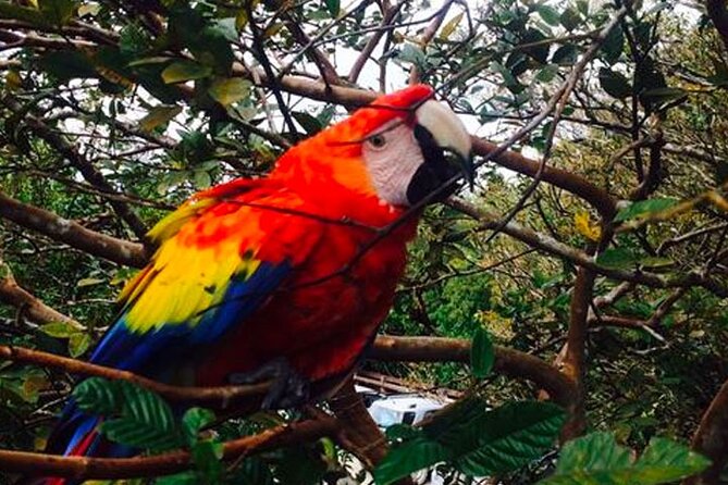 Boat Tour in Palo Verde River | Near Nicoya - Frequently Asked Questions