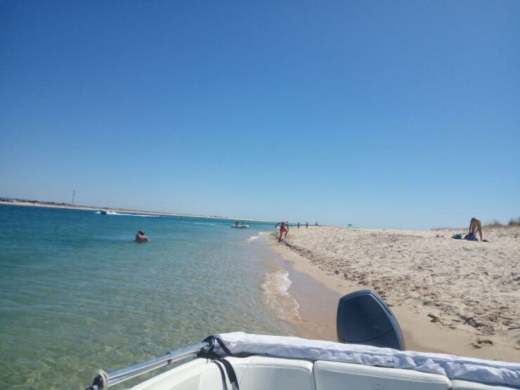 Boat Tour in Ria Formosa 3H - Activity Details