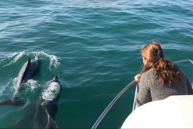 Boat Tour in the Marina Park - End Point and Cancellation Policy