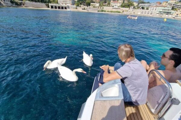 Boat Tour, Mixed/Private Group, Snorkeling Nice Villefranche - Important Items to Bring