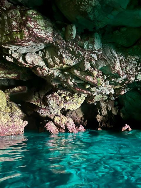 Boat Tour of Favignana and Levanzo From Trapani - Whats Included in the Tour