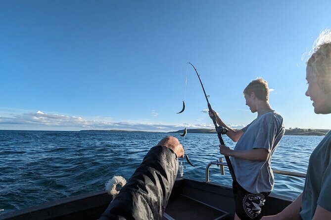 Boat Tour of Kinsale Harbour and Bandon River - Good To Know