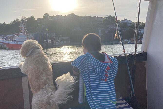 Boat Tour of Kinsale Harbour and Bandon River - Pricing and Value