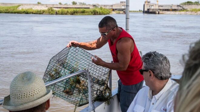 Boat Tour of Louisiana Bayous Near New Orleans - Full Description