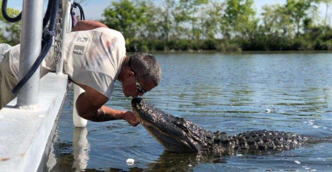Boat Tour of Louisiana Bayous Near New Orleans - Booking Information