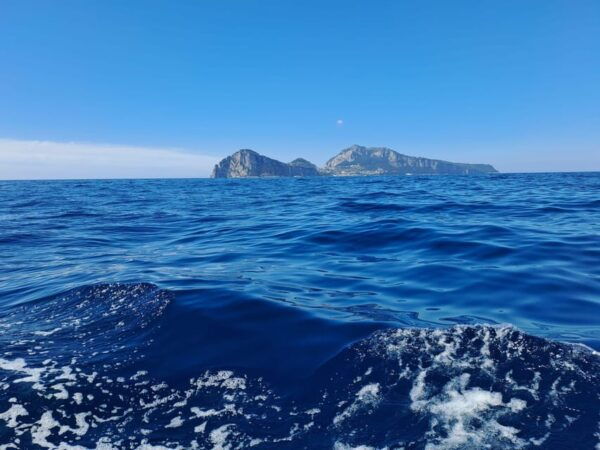 Boat Tour on the Amalfi Coast With Lunch - Important Notes