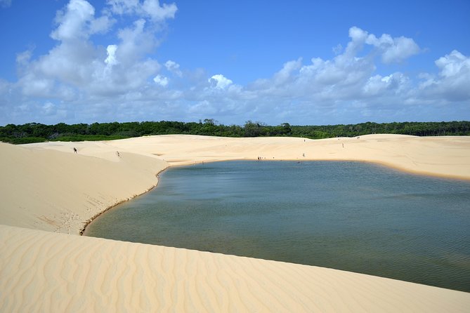 Boat Tour On The Preguiças River - Operator Information: Tangol