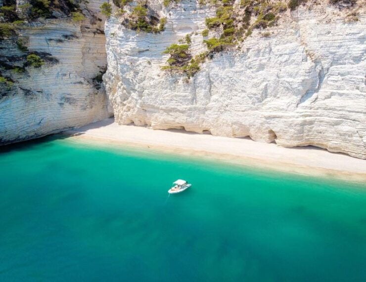 Boat Tour South Coast and Sea Caves in Vieste - Good To Know