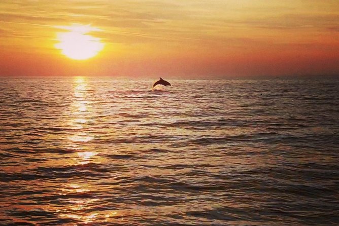 Boat Tour Swimming Snorkeling South Istria Kamenjak Premantura - Meeting Point Details