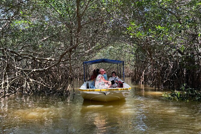 Boat tour through the mangroves of Celestún and Playa from Merida - Good To Know