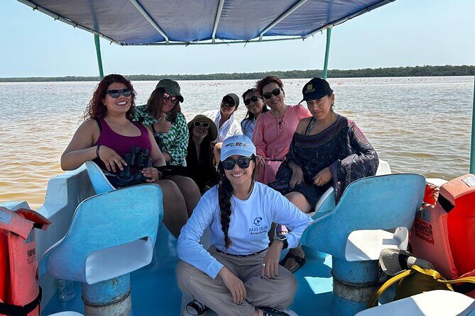 Boat tour through the mangroves of Celestún and Playa from Merida - Who Is This Tour Best For?