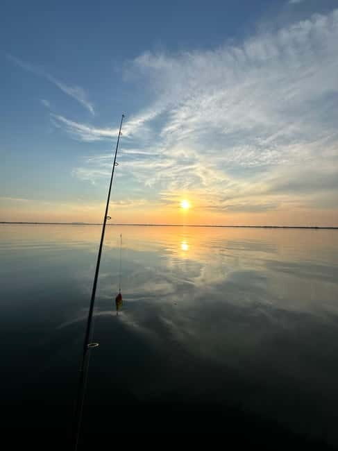 Boat Tour to Letea Forest - An In-Depth Look at the Letea Forest Boat and Safari Tour