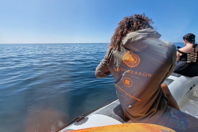 Boat Tour to the Beaches and Caves in Sesimbra - Tour Inclusions and Details