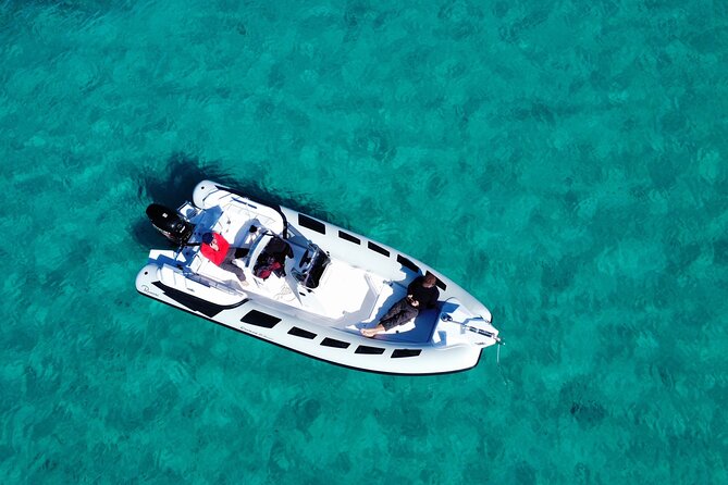 Boat Tour to the Dolphin Area up to 6 People - Maximum Group Size