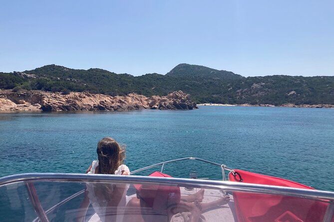Boat Tour to the Dolphin Area up to 6 People - Traveler Photos and Reviews