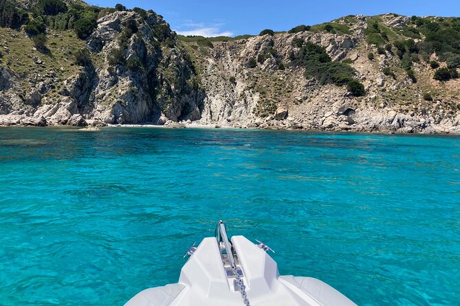 Boat Tour to the Dolphin Area up to 6 People - Additional Resources