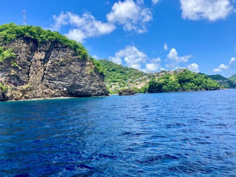 Boat Tour to the West Coast of St Vincent - Who Is This Tour Best For?