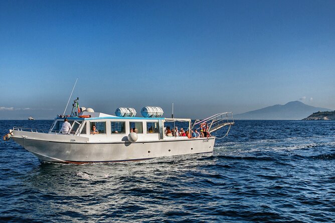 Boat Tour to Visit Capri With Transfer Included - Good To Know