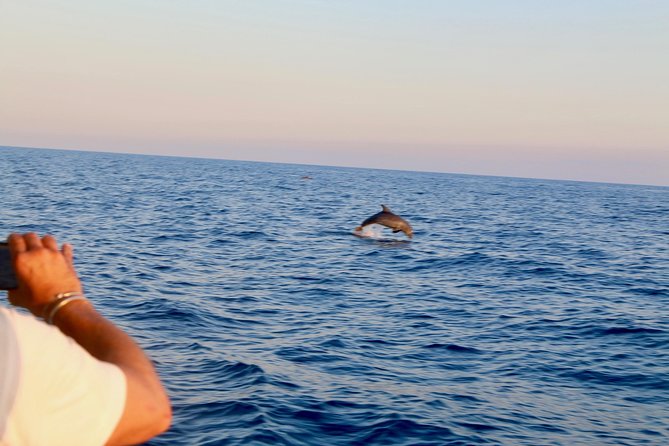 Boat Tours 5 Terre - Boat Tour Details and Inclusions