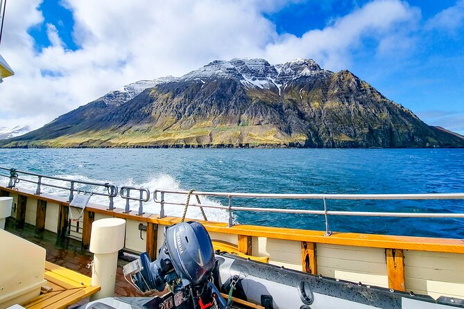 Boat Tours From Siglufjörður - Boat Tours Overview