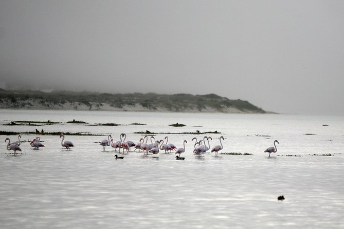Boat Tours in the Óbidos Lagoon - Meeting Point and End Point