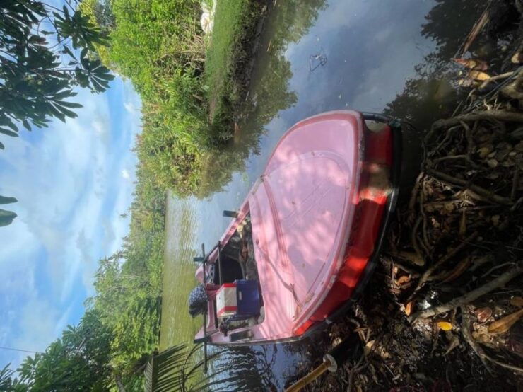 Boat Tours - Activity Details
