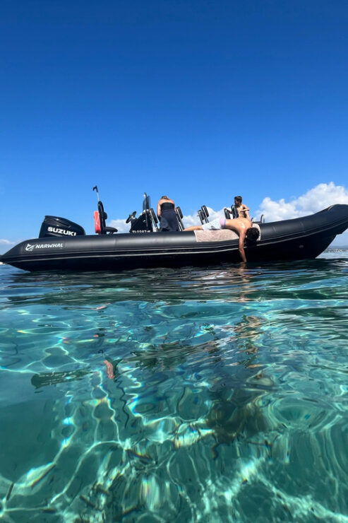 Boat Trip - Experience Highlights