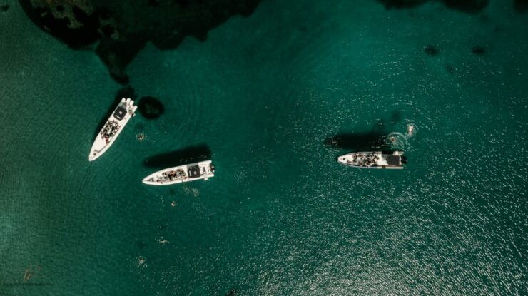Boat Trip: Ajaccio - Scandola Reserve - Itinerary Highlights