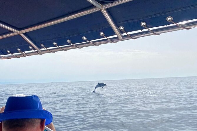 Boat Trip and Dolphin Watching in Fuengirola Drinks - Accessibility and Transportation