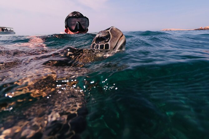Boat Trip and Snorkeling at Daymaniyat Island - Reviews and Guarantee